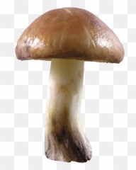 Download Mushroom Png Image - Spaced Out The Story Of Emoji,Mushroom Emoji Png