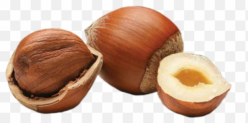 To - Hazelnut Dry Fruit Emoji,Hazelnut Emoji