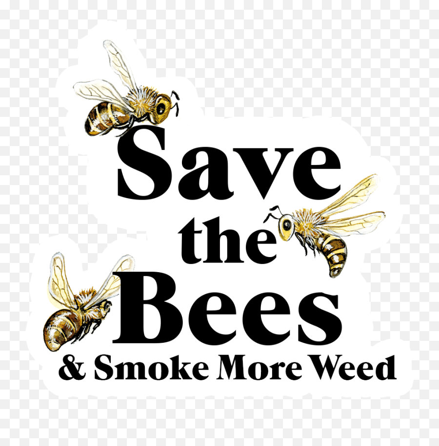 Cannabox May 2020 Bee Happy - Parasitism Emoji,What Do Emoji Lips And Bumble Bee Mean