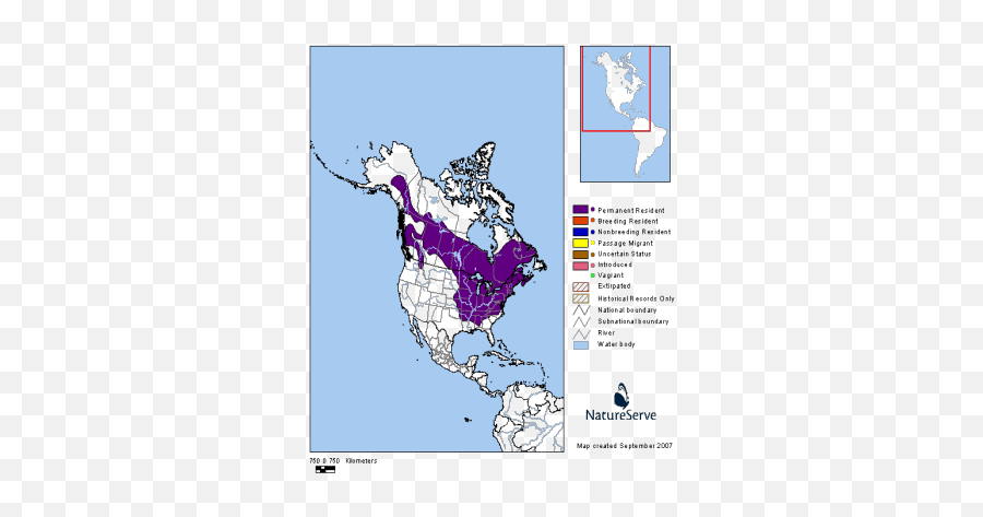 State Of Tennessee Wildlife Resources - Deer Mouse Range Emoji,Ground Hog Woodchuck Emojis