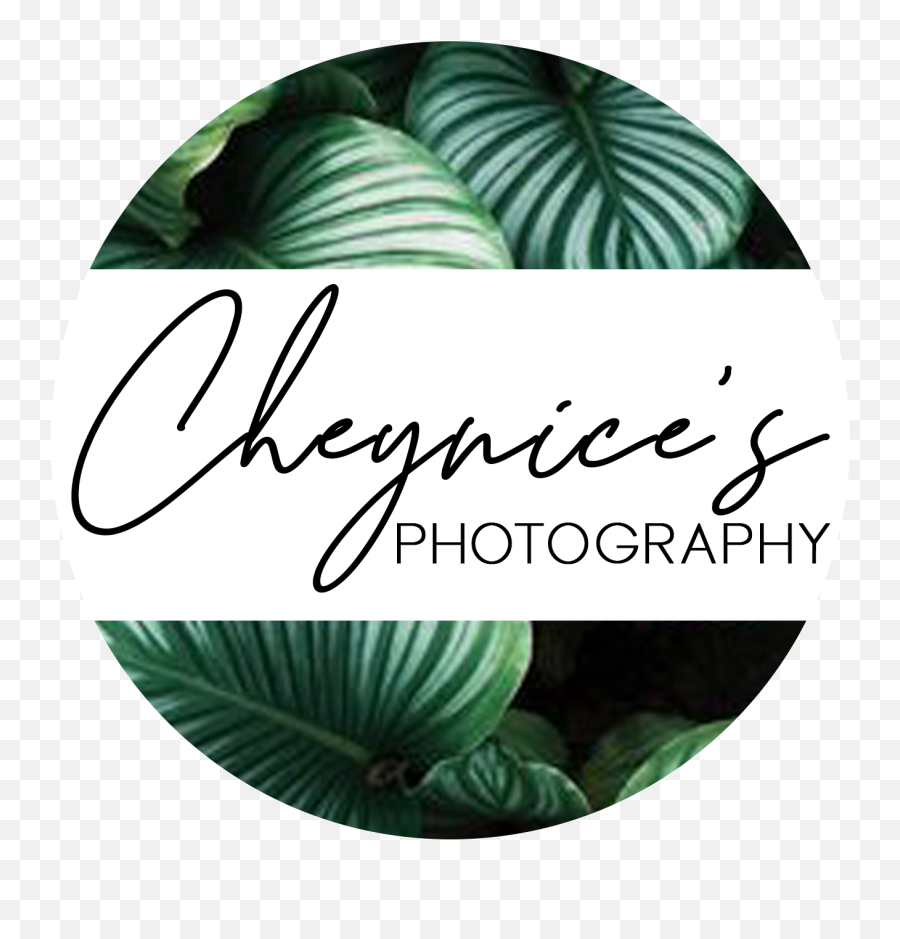Hawaii Photography Packages Investment - Cheyniceu0027s Ll Never Be A Mom Emoji,Hd Wallpaper Maui High Emotions