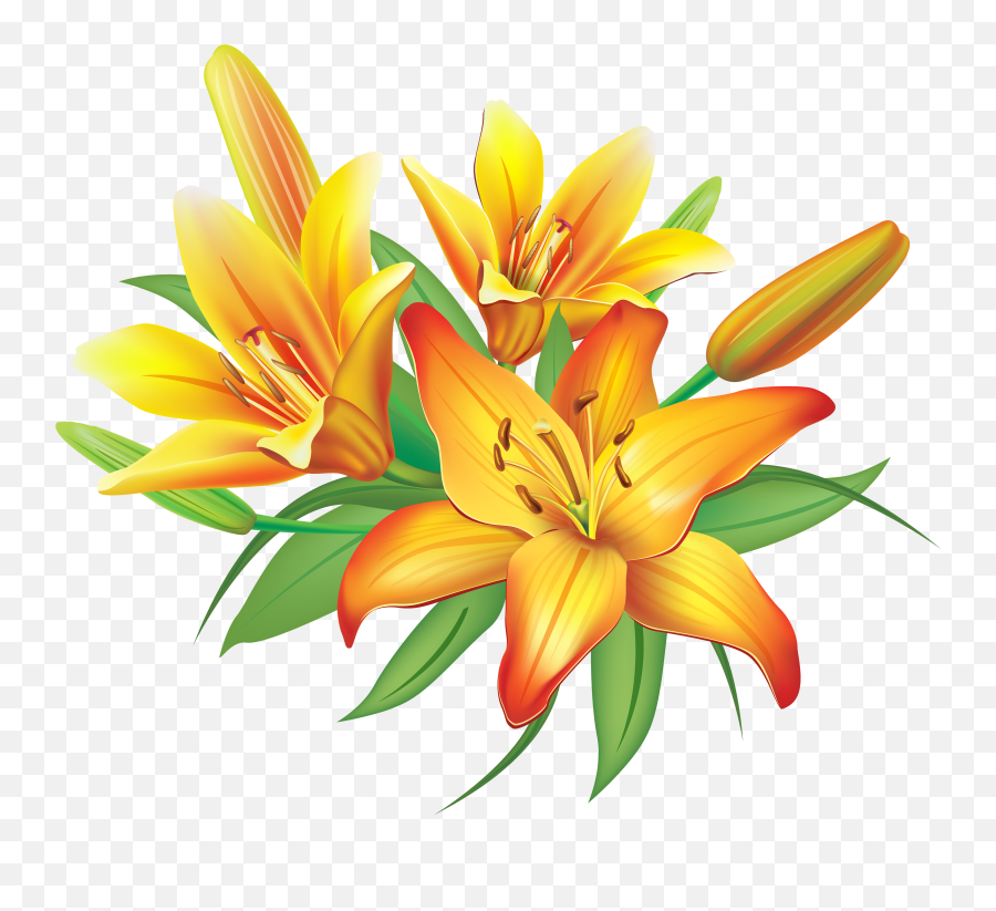 Lily Yellow Lilies Flowers Decoration - Lily Flowers Clipart Emoji,Lily Flower Emoji