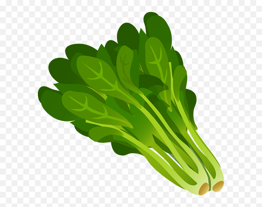 Free Photo Salad Perpetual Spinach Spinach Beet Leaf Chard - Clipart Green Leafy Vegetables Emoji,Lettuce Emoji