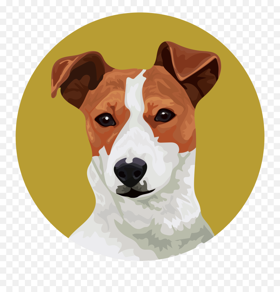 Altdoges Jack Nft Is Now Up For Rescue On Opensea The Jack Emoji,Wallow In My Emotions Site:reddit.com