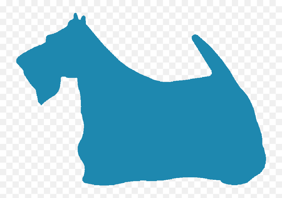 Puppy Breeder Referral Emoji,Star Stable Emotions Of A Horse