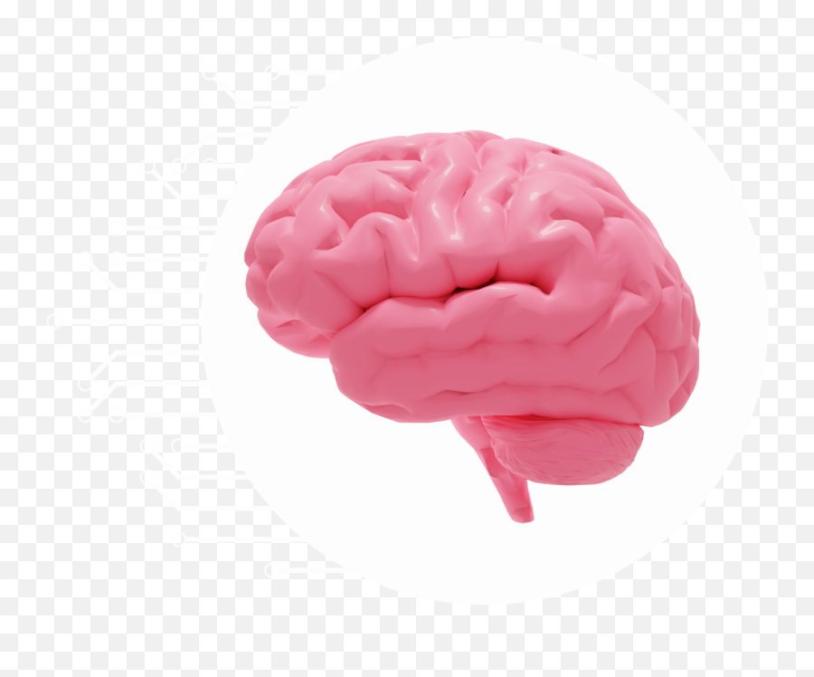 Cognitive Matters - Physics For Cognitive Advancements Emoji,Anatomical Emoji