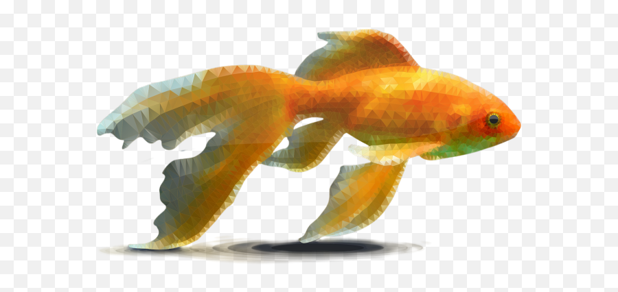 Fish In Water Png Images Download Fish In Water Png Emoji,Gold Fidsh Emoji