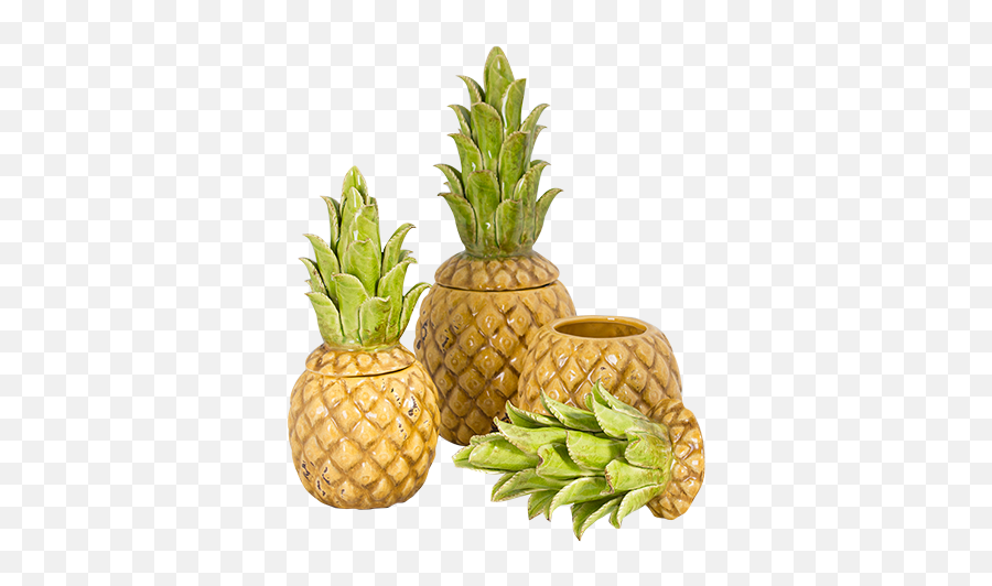 44 Pineapple Kitchen Decor - Clay Pineapple Pinch Pot Emoji,Pineapple Emoji Pillow