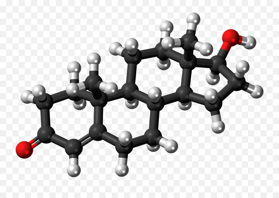 Testosterone - Testosterone Png Emoji,Buhler's Organon Emotion