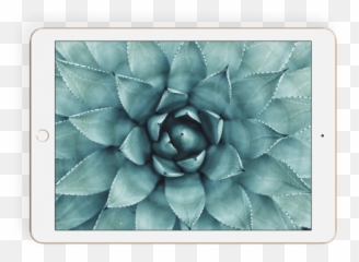 Apple Ipad - Succulent Plant Emoji,Work Emotion Cr Kiwami Blue S2000