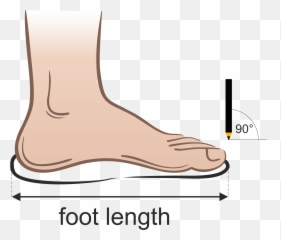 23 Us To Eu Shoe Size - Foot Length Emoji,Emoji Skechers Shoe Boys