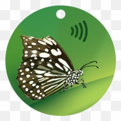 Rosan Pay Emoji,Triquetra Emoticon
