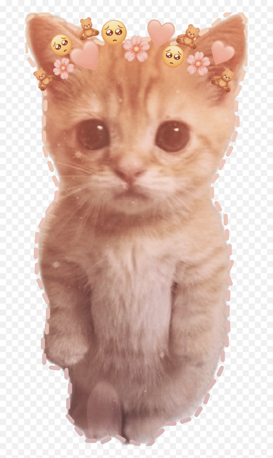 Aesthetic Kitten Cute Sticker - Soft Emoji,Uwu Emojis
