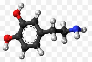 Dopamine Is Key To The Mystery Of Metabolic Dysfunction In - Vitamin And Hormones Chemistry Emoji,Molecules Of Emotion