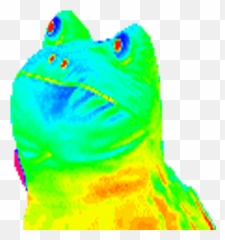 Dancing Frog Rainbow Frog Frog Stickers - Rainbow Frog Gif Transparent Emoji,Frog Emoji