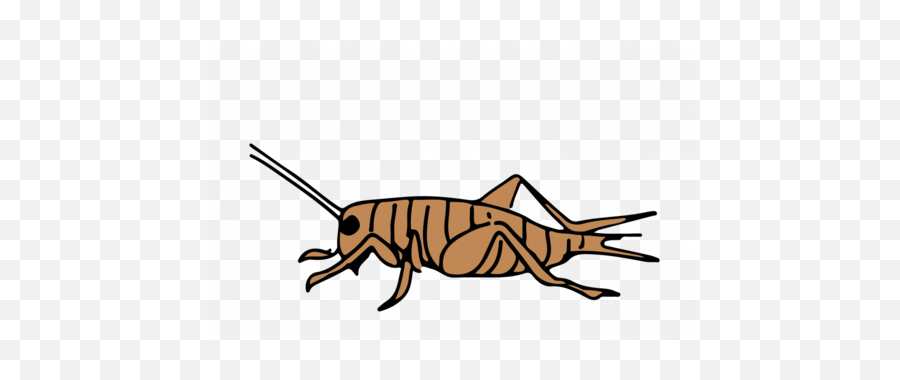 Cricket Insectpng Emoji,Cricket And Mosquito Emoji Meme
