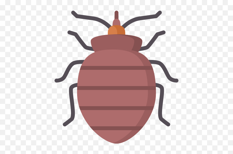 Bed Bug - Free Animals Icons Emoji,Bugs Emoji