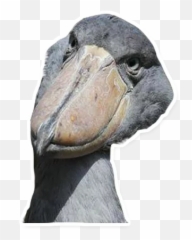 Telegram Sticker From Pack Emoji,Stork Emoji