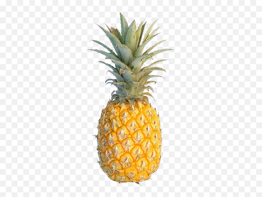 Pineapple Cuisine Of Hawaii Fruit Flavor Food - Golden Single Pineapple Fruit Png Emoji,Mango Emoji Iphone