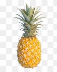 Pineapple Cuisine Of Hawaii Fruit Flavor Food - Golden Single Pineapple Fruit Png Emoji,Mango Emoji Iphone