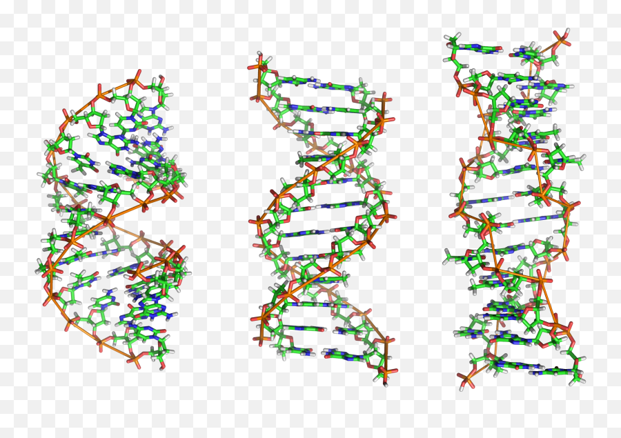 Itu0027s Like This On Anne Enright And What Are You Like - A Rna A Form Emoji,Emotion Remake