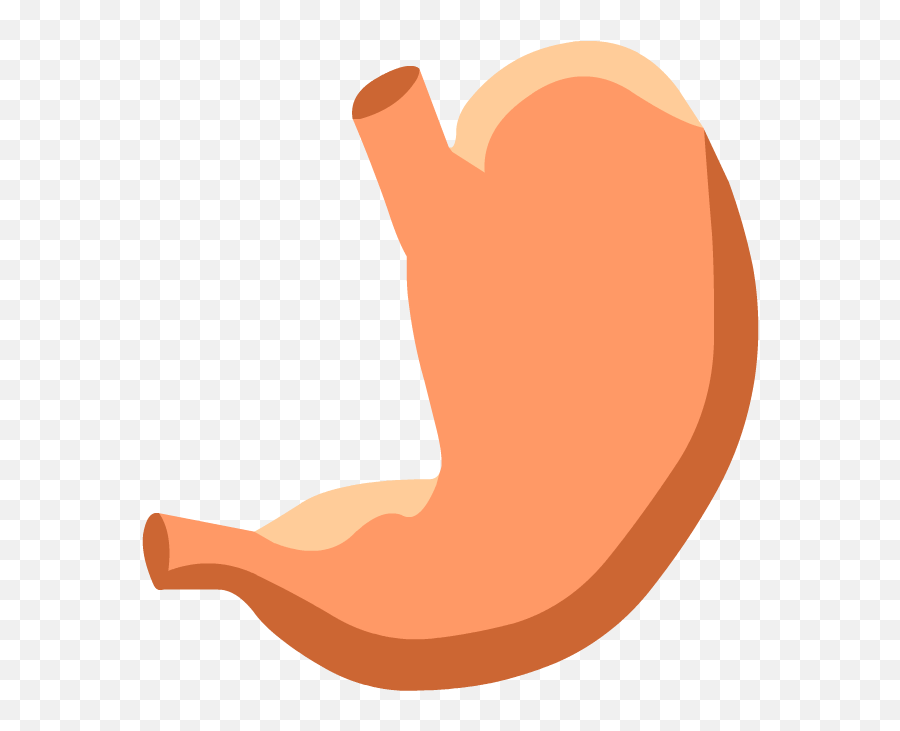 Digestive System - Stomach Digestive System Not Labeled Emoji,Emotion Code Small Intestine Acen