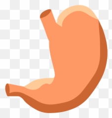 Digestive System - Stomach Digestive System Not Labeled Emoji,Emotion Code Small Intestine Acen