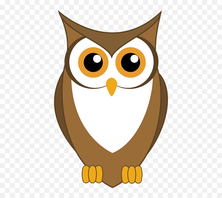 Youth Programs - Owl Clipart Png Emoji,Owl Emotion Vectors