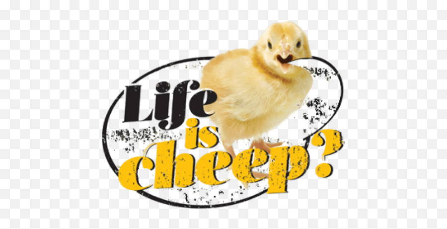 Life Is Cheep Viva - The Vegan Charity Animal Figure Emoji,Vehanism And Transmutation Of Negative Emotions
