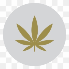 Cannabis Dosing How Much Cannabis To Consume - Cannabis Art Emoji,Marawana Leaf Emoji
