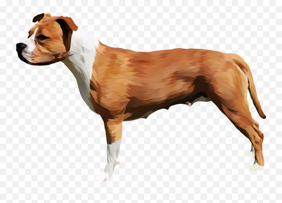 Staffordshire Bull Terrier - Alapaha Blue Blood Bulldog Emoji,Bull Terrier Emojis