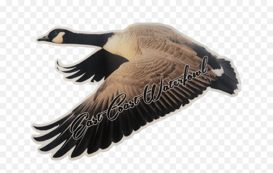 Flying Goose Decal - Canada Goose Emoji,Canadian Goose Emoticon