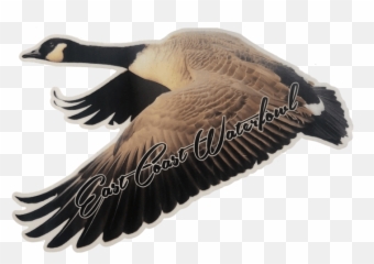 Flying Goose Decal - Canada Goose Emoji,Canadian Goose Emoticon