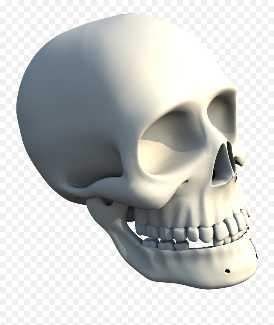 Download The Skull Of Human - Skull Png Image With No Emoji,Skull And Crossbone Emojis