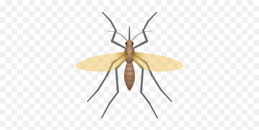 Téléchargement Gratuit En Png Et Vecteurs - Parasitism Emoji,Mosquito Emoji