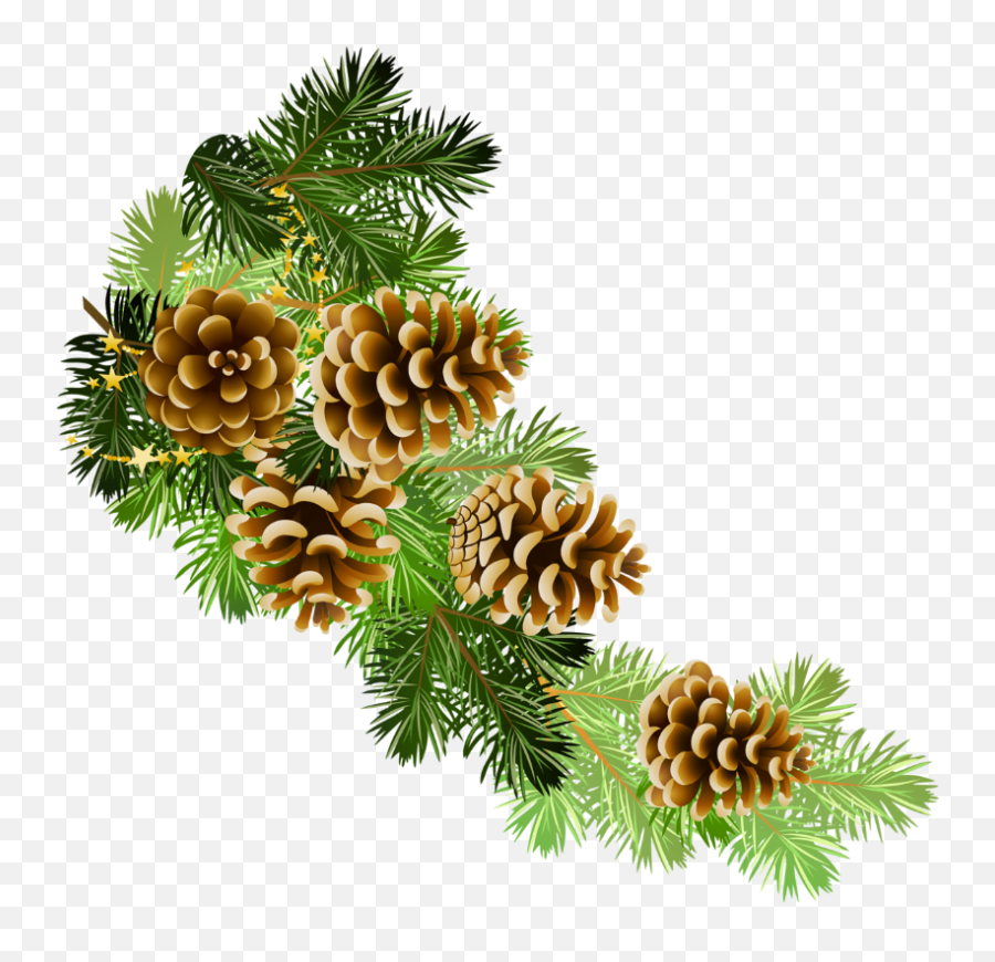 Free Pine Cone Transparent Background - Transparent Christmas Pine Cones Emoji,Pine Cone Emoji