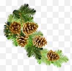 Free Pine Cone Transparent Background - Transparent Christmas Pine Cones Emoji,Pine Cone Emoji