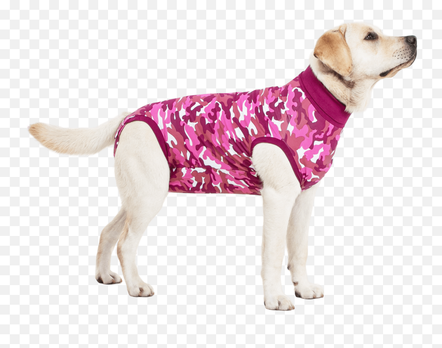 Recovery Suit Dog - Suitical Recovery Suit For Dogs Emoji,Neutered Dog Emoticons