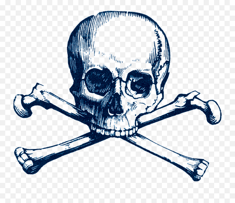 Cartolina Skull Skull Skull And Bones Secret Society Logo - Skull And Crossbones Emoji,Illumnati Emotions