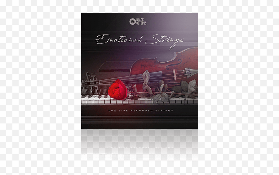 Emotional Strings By Black Octopus - Audio Plugin Deals Black Octopus Emotional String Emoji,Emotion Are High Logic Is Low