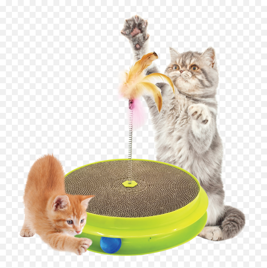 As Seen On Tv Cat Toy - Cat Toy Emoji,Granite Stone Emotions Cats