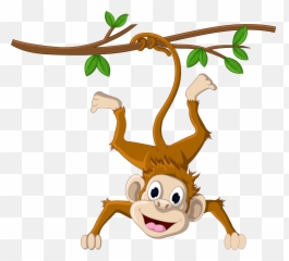 Monkey Hanging From A Tree Png Download - 25002262 Free Monkey Clipart Png Emoji,Monkey Emoji Transparent