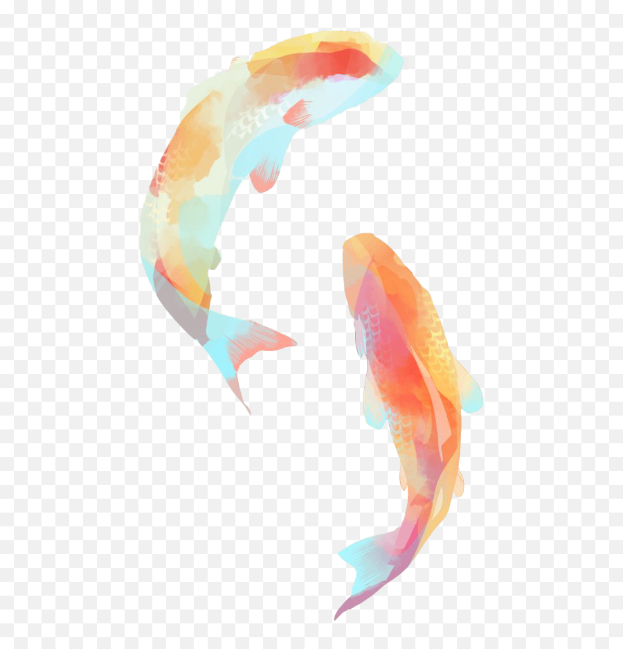 Golden Koi Fish Png Clipart Png Mart Emoji,Fishes Swimming Emojis