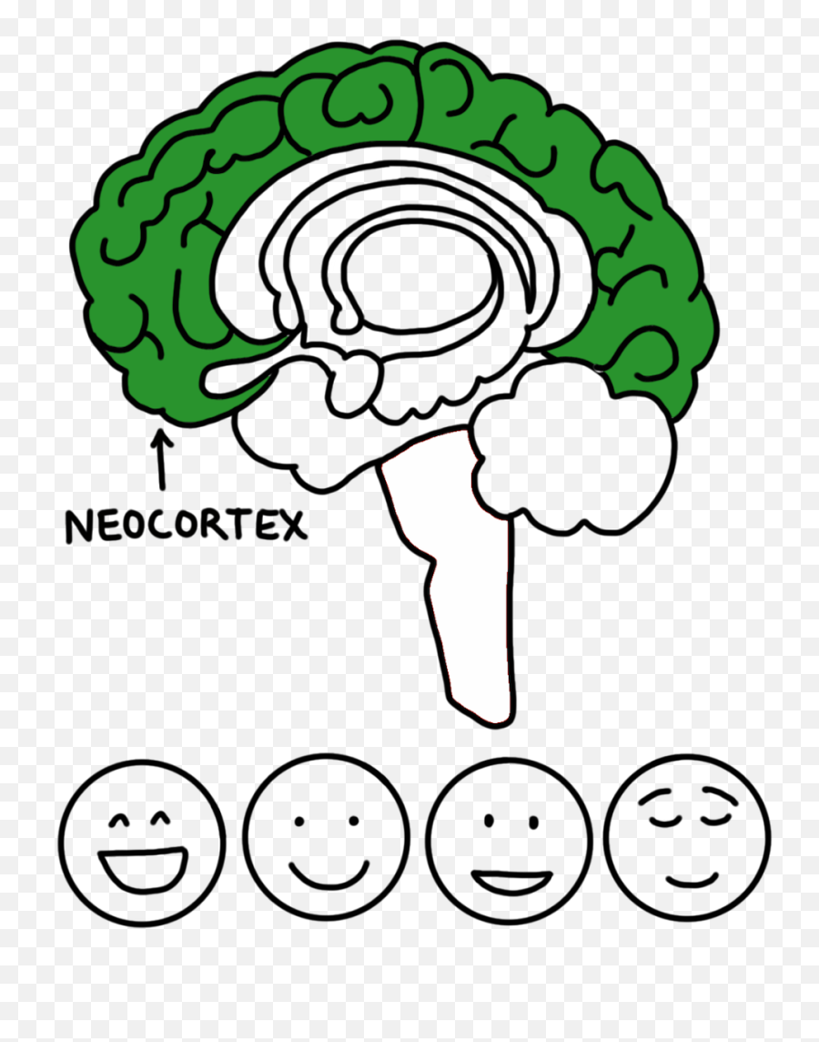 The Stoplight Approach - Dot Emoji,Components Of Emotion