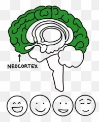 The Stoplight Approach - Dot Emoji,Components Of Emotion