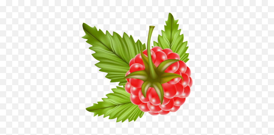 Ételek - Foods Raspberry Vector Emoji,Rasberry Emoji