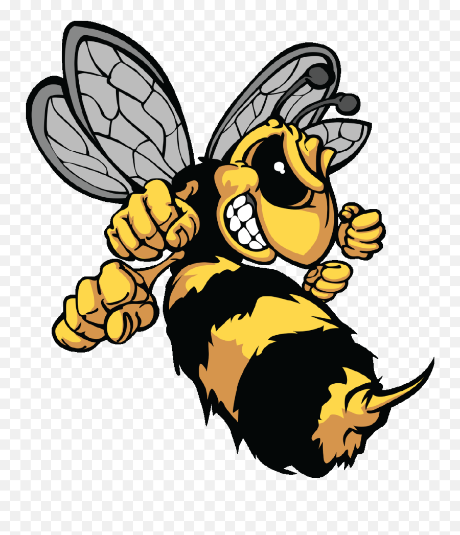 Hornet Cartoon Transparent Png Image - Hornets Cartoon Emoji,Hornet Emoji