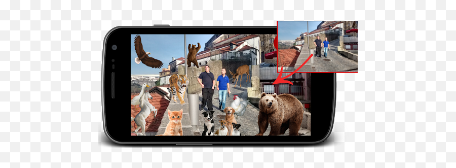 Real Animals Photo Stickers - Apps On Google Play Camera Phone Emoji,Zoop Emojis