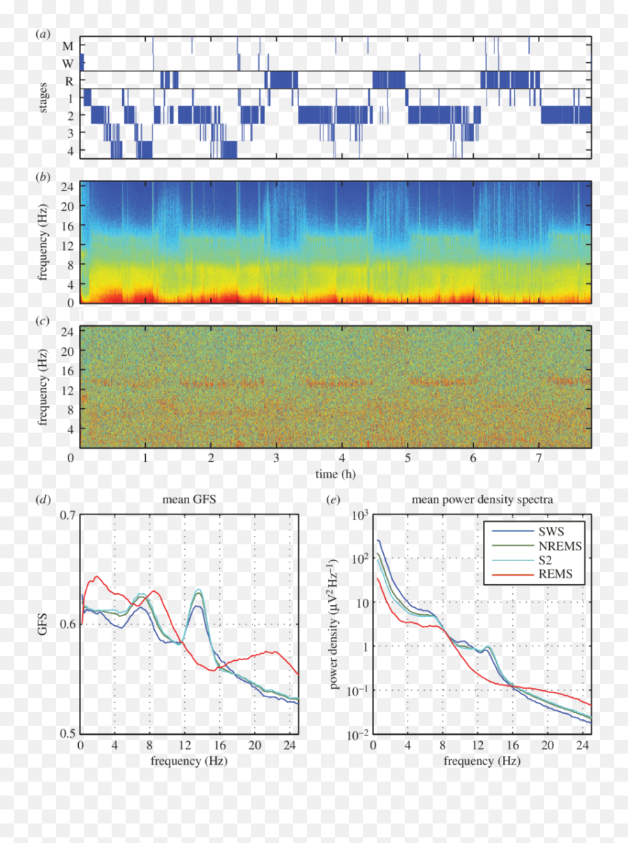 Gfs And Spectral Power Of A Baseline - Wake Nrem Rem Spectrum Emoji,Lily Rabe Emotion Chart