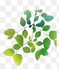 Children And Nature Network - Twig Emoji,Emotions Hurt Picyure